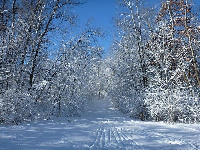 Eagan, Dakota County skyline