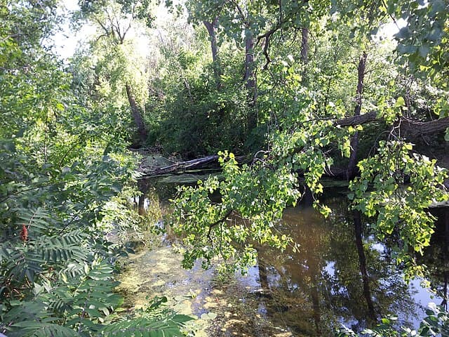 Maplewood, Ramsey County skyline